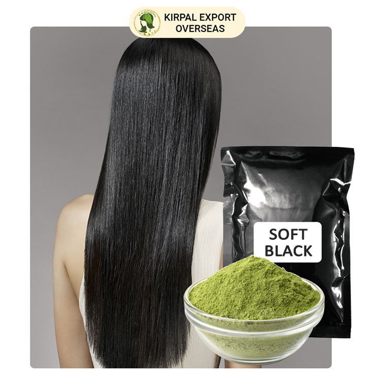 Natural Soft Black Professional Organic Hair Color